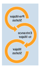 A graphic demonstrating the pre-major process